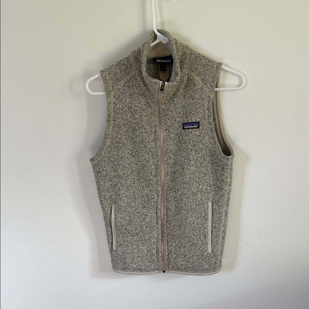 Patagonia Light Gray Fleece Vest